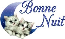 bonne nuit